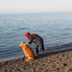 Betül