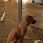 İlker