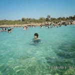 Halil