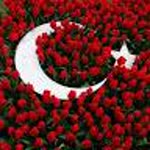 Cansu