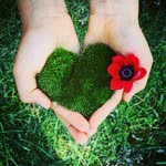 Buse