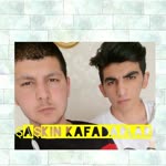 Şaşkın