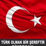 Harun