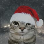 Furkan
