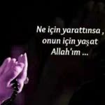 Tülay
