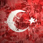 Doğan