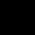 Didem