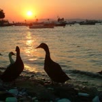 Profil fotoğrafı