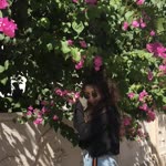 Selenay