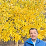 Şakir