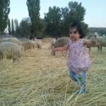 Ahmet