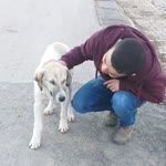 Emre
