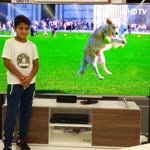 Hasan