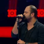 Şahin