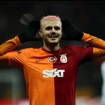 Şahin