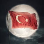 Ercan