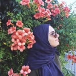 Merve