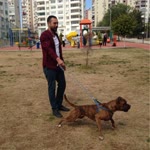 Hakan