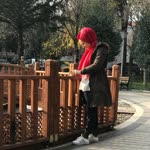 Şeg