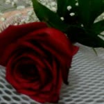 Nur