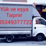 Özkurtlar