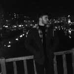 Şahin