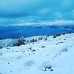 Erdal