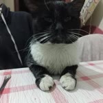 Melih