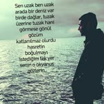 Alican