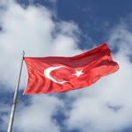 Didem
