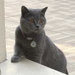 Hülya