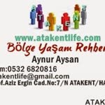 Aynur