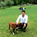 Halil