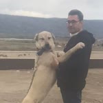 Huseyın
