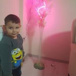 Bulut