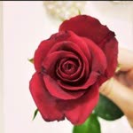 Fatma