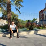 Şahin