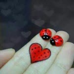 Yedek