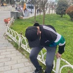 Taha