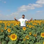 Resul