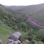 Erol
