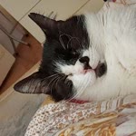 Eda