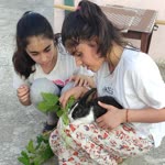 Meral