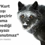 Aslan