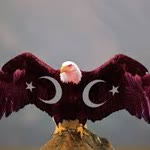 Kartal