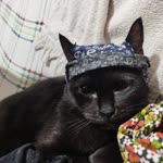 Sultan