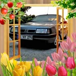 Halit