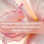 Nilüfer