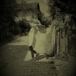 Havva