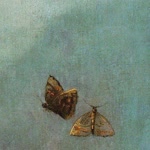 Öznur